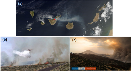 wildfire in tenerife 2023